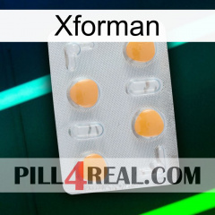 Xforman 24